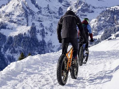 Fat Bike 
