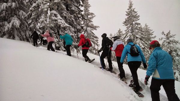 Schneeschuhwandern
